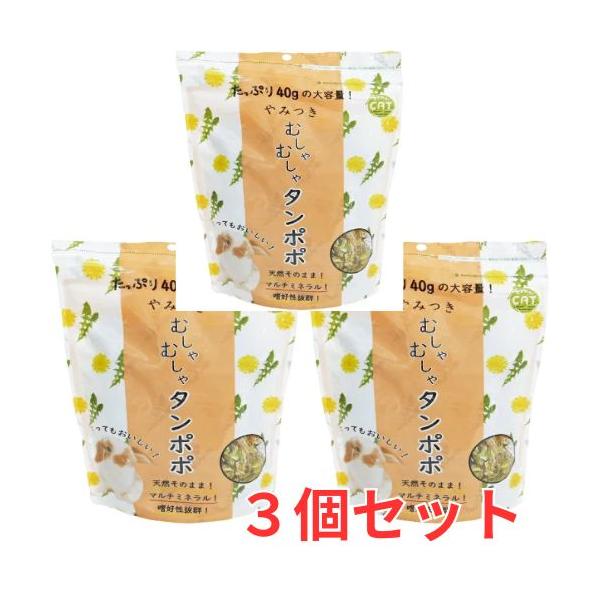 3個セットうさぎ・チンチラ・デグー・モルモットの大好物