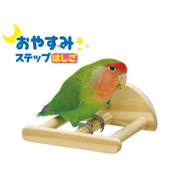 [OW]͂^Cv̏pƂ܂؁I₷݃Xebv@͂