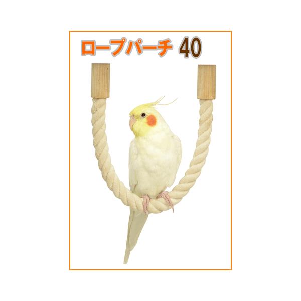 [OW]pRbg[vp[`[vp[`40