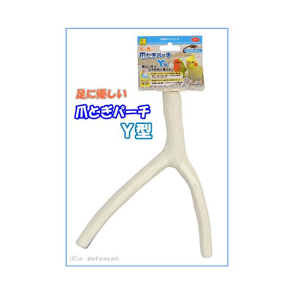 [OW]pThp[`ɗD܂Ƃp[`@x^