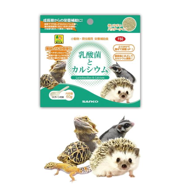 使いやすいパウダータイプの小動物・爬虫類用栄養補助食品乳酸菌とカルシウム内容量：60ｇ　(スプーン付)・対象生体：フクロモモンガ・ハリネズミ等の小動物爬虫類(陸ガメ各種・トカゲ類・ヤモリ類)腸内環境の維持に役立つ乳酸菌と不足しがちなカルシウ...