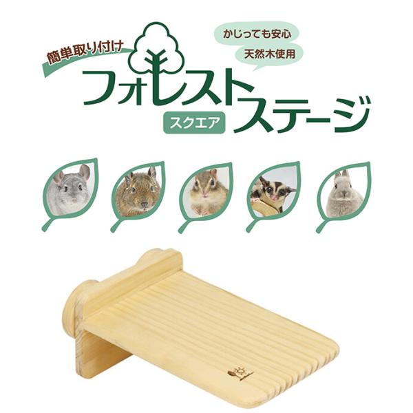 チンチラ・うさぎ・テグー・モモンガ・シマリス等上下運動を好む小動物用フォレストステージ スクエア本体サイズ：W 約120 × D 約180 × H 約80（mm）固定具2個付き上下運動を好む小動物飼育ゲージに取り付けてご使用ください。ケージ...