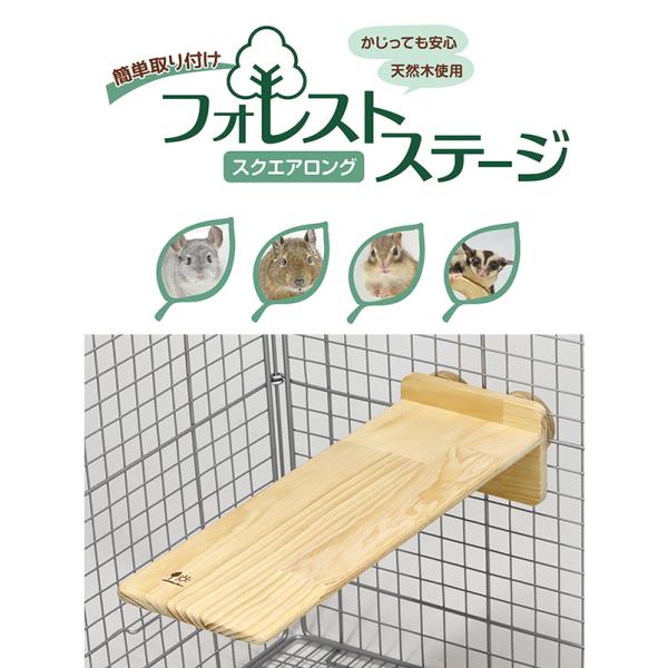 チンチラ・うさぎ・テグー・モモンガ・シマリス等使い勝手の良い、片面設置のステージ。フォレストステージ スクエアロング[三晃商会]
