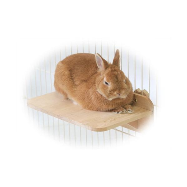 シンプルでレイアウトしやすい横長ステージ！うさぎ・チンチラ・デグー