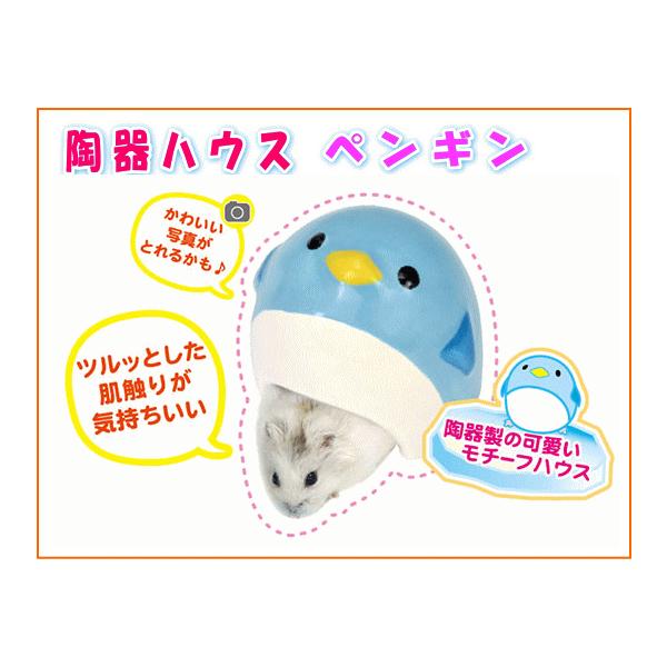 [OW]nX^[p퐻nEXnEX@yM