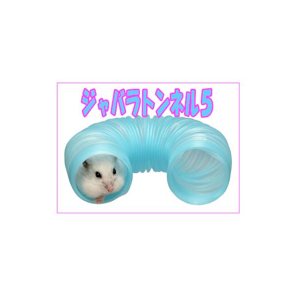 [OW]nX^[̂ꂪglWoglTiFႢQ{j