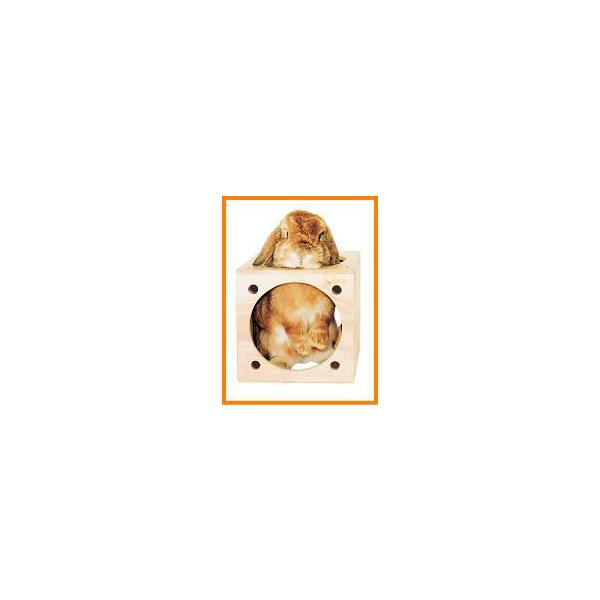 [KAWAI]�L���[�u�n�E�X