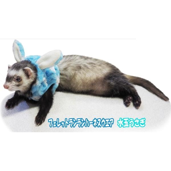 [C{[]tFbg̃n[lXEGAn[lXEGAEʂiu[ji[h͕tĂ܂Bj