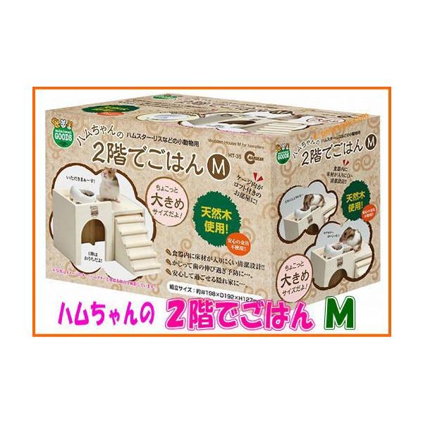 [}J]S[fnX^[ɂ҂In̂QKł͂l