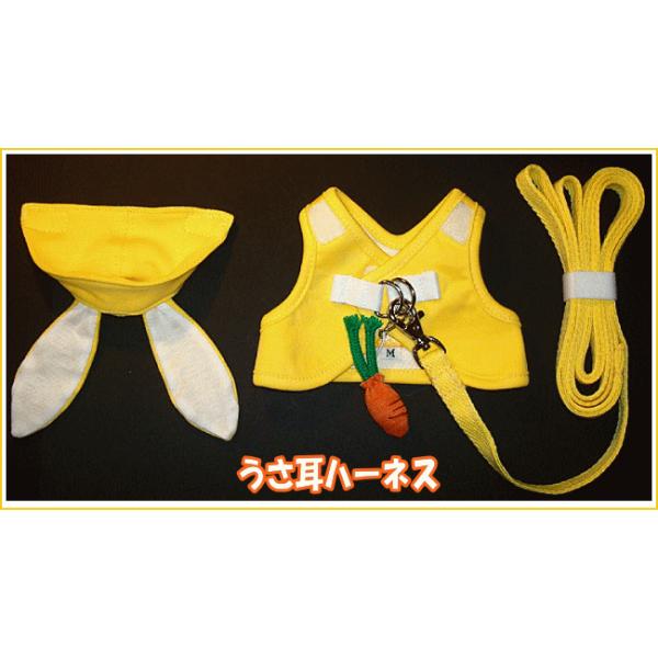 [̃n[lX]ɂn[lXn[lXiCG[j