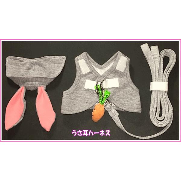 [̃n[lX]ɂn[lXn[lXiOCj