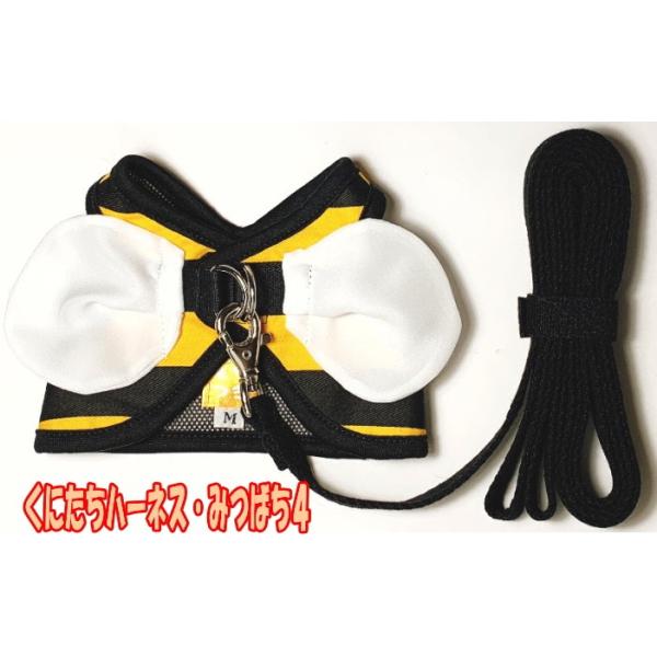 [̃n[lX]ɂn[lXi݂΂Sj