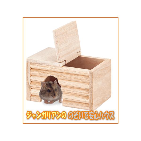 [}J]VR؎gp̉BƃWKAnX^[̂̂ĈSnEX