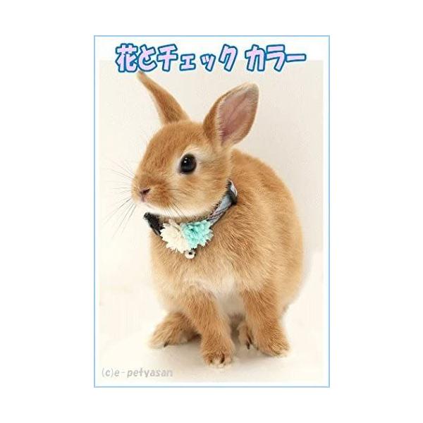 e-petyasan_rabbitamo110009