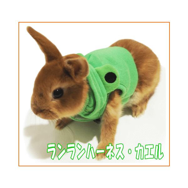 [C{[]̃n[lXn[lXEAj}iJGj