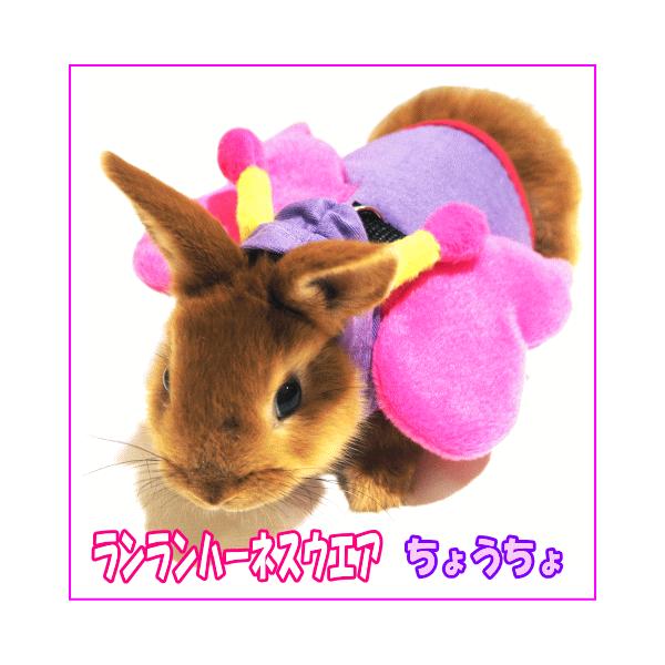 [C{[]̃n[lXEGAn[lXEGAE傤i[h͕tĂ܂Bj