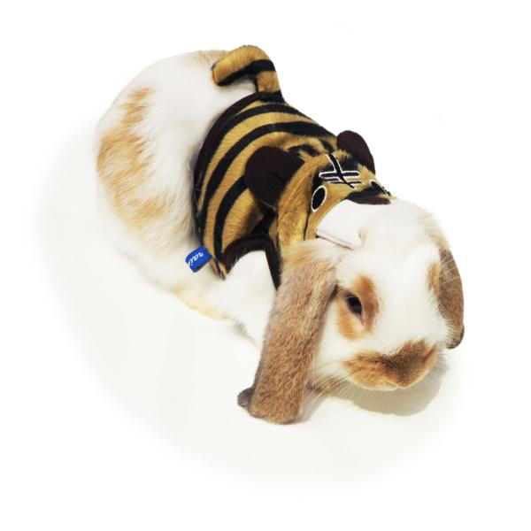 [C{[]̃n[lXEGAn[lXEGAEƂ炳i[h͕tĂ܂Bj