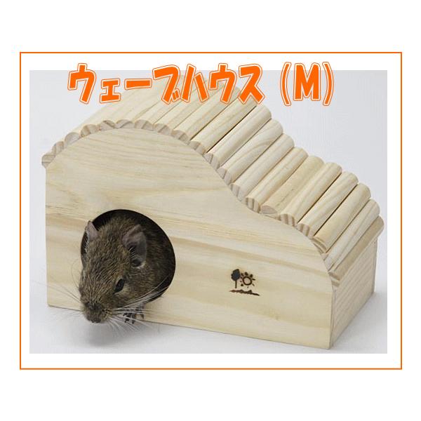 S[fnX^[EfO[EKpEF[unEXiMj