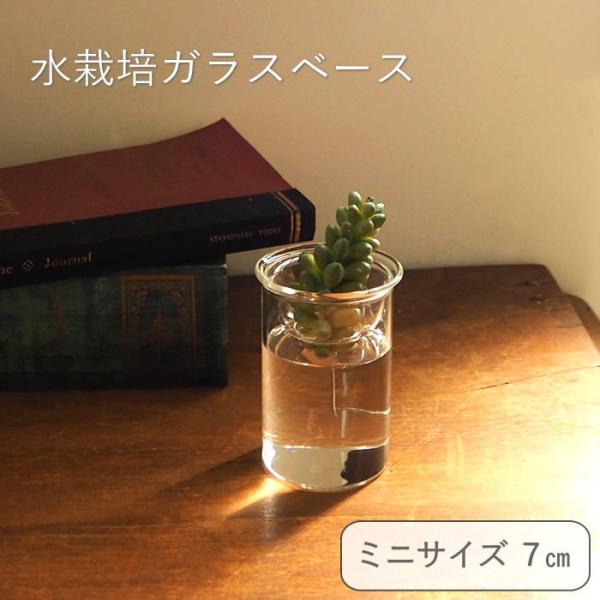 ●MINI BULB VASE 水栽培ガラスベース クリア 7cm●水換え簡単！球根を水栽培できるガラス花瓶。●球根を置く上部の皿と水入れが別になっているので、茎を傷めず簡単に水の取り替えができます。●球根水栽培のほか、切り花を生けるフラワ...