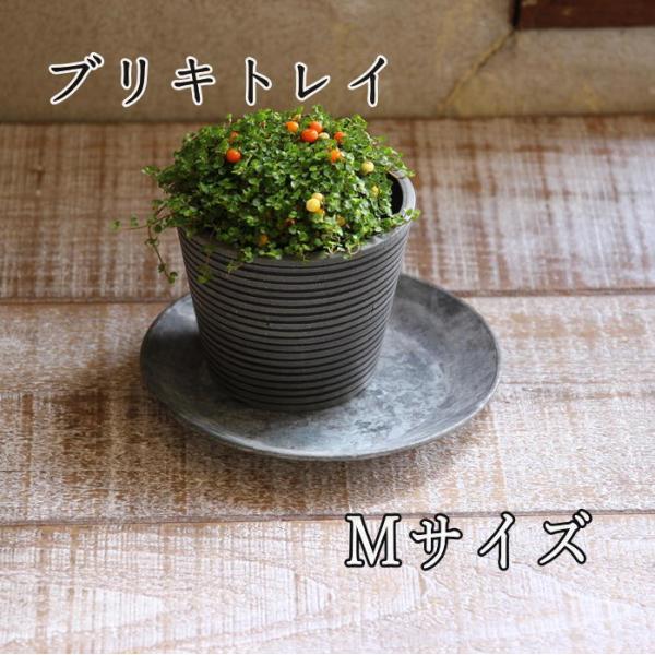 ブリキラウンドトレイ Mサイズ トレイ おしゃれ 小物 アクセサリー インテリア 鍵 ブリキ