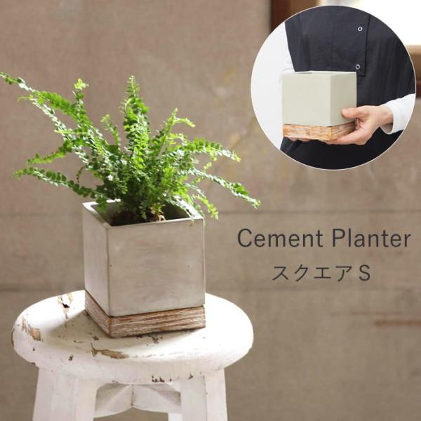 FEEL THE GARDEN セメントプランター スクエアS おしゃれ 室内 屋外 セメント 植木鉢