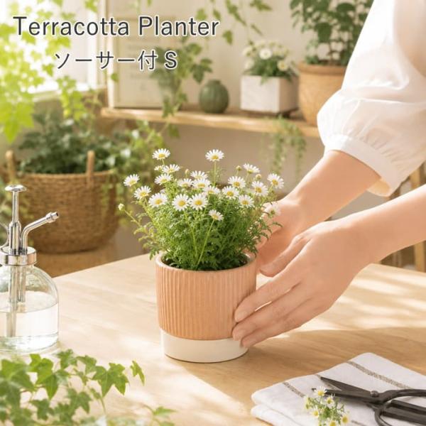 テラコッタプランター ソーサー付 Sサイズ プランター おしゃれ 室内 植木鉢 受け皿 素焼き 丸型