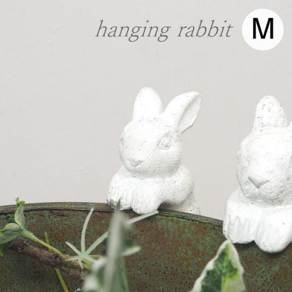 ●ハンギングラビットM●植木鉢やプランターに引っ掛けて飾るうさぎのオブジェ。●ちょこんと掴まる姿が愛らしいです。●お花やグリーンなど植物とも相性抜群！お部屋やガーデンをおしゃれに演出します。▼サイズ等（約ｃｍ）ｗ4×ｄ6×ｈ8重さ：約95g...