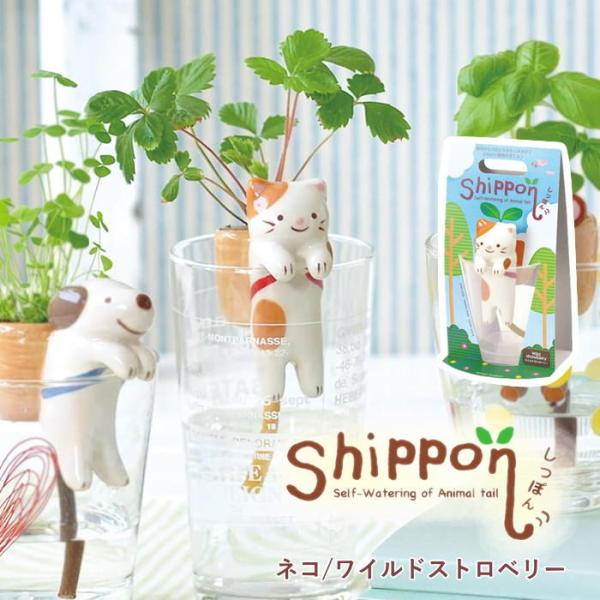 ●Shippon しっぽん ネコ/ワイルドストロベリー●ポットや土、種などが揃った栽培キットです。園芸初心者でも気軽に植物の栽培を始められます。●しっぽから水を吸い上げ、背中のカゴへとつながり植物が育ちます。水の管理が一目でわかる底面給水シ...