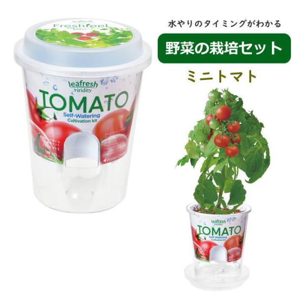 ●Fresh Feel　フレッシュフィール　ミニトマト●ポットや土、種などが揃った栽培キットです。園芸初心者でも気軽に栽培に挑戦できます。●側面に注水口がありインナーポットを持ち上げなくても、直接ポットの底に水を注ぐことができる底面給水栽培...