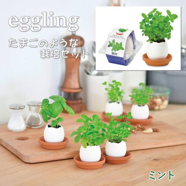 ●eggling エッグリングクリアパッケージ ミント●まるで本物のたまごのようなeggling。見た目も手触りも本物のたまごのようですが、たまごは陶器でできていて、中には種と土がセットされています。上部をスプーンなどでコンコンと割って水を...