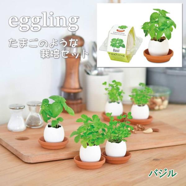 ●eggling エッグリングクリアパッケージ バジル●まるで本物のたまごのようなeggling。見た目も手触りも本物のたまごのようですが、たまごは陶器でできていて、中には種と土がセットされています。上部をスプーンなどでコンコンと割って水を...