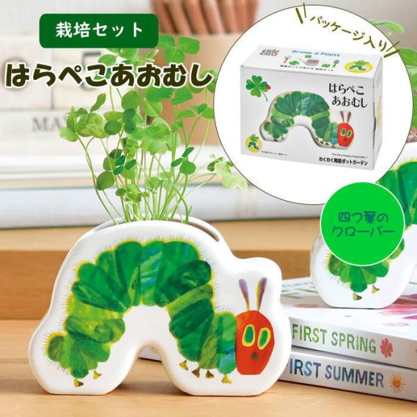 ●はらぺこあおむし わくわく陶器ポットガーデン 四つ葉のクローバー●ポットや土、種などが揃った栽培キット。園芸初心者でも気軽に植物の栽培を始められます。　絵本のように開くスタイルのパッケージでギフトにもおすすめです。●かわいいはらぺこあおむ...