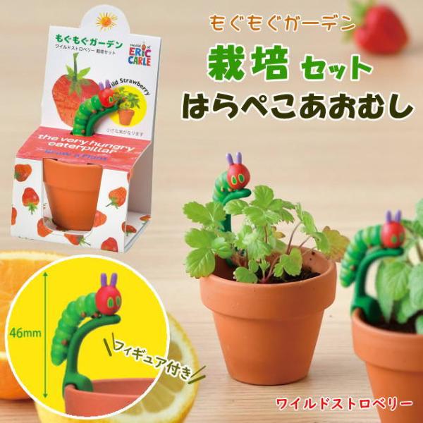 ●はらぺこあおむし もぐもぐ栽培ガーデンセット ワイルドストロベリー●ポットや土、種などが揃ったハーブの栽培キットです。園芸初心者でも気軽に始められます。●立体的なはらぺこあおむしのフィギュアが付いたコンパクトサイズのかわいいミニ栽培セット...