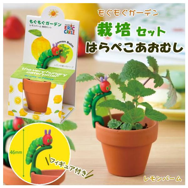 ●はらぺこあおむし もぐもぐ栽培ガーデンセット レモンバーム●ポットや土、種などが揃ったハーブの栽培キットです。園芸初心者でも気軽に始められます。●立体的なはらぺこあおむしのフィギュアが付いたコンパクトサイズのかわいいミニ栽培セット●栽培ポ...