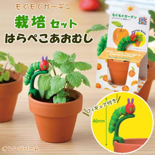 ●はらぺこあおむし もぐもぐ栽培ガーデンセット オレンジバーム●ポットや土、種などが揃ったハーブの栽培キットです。園芸初心者でも気軽に始められます。●立体的なはらぺこあおむしのフィギュアが付いたコンパクトサイズのかわいいミニ栽培セット●栽培...