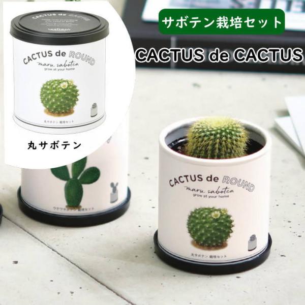 ●CACTUS de CACTUS　カクタス de カクタス 丸サボテン●種類が豊富で個性派揃いのサボテンを種から育てよう。●必要なものが すべて揃った種からサボテンを育てる栽培キットです。●パッケージはそのまま栽培ポットとして使用します。...