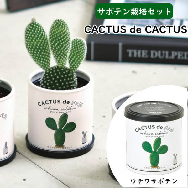 ●CACTUS de CACTUS　カクタス de カクタス 柱サボテン●種類が豊富で個性派揃いのサボテンを種から育てよう。●必要なものが すべて揃った種からサボテンを育てる栽培キットです。●パッケージはそのまま栽培ポットとして使用します。...