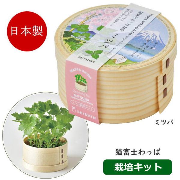 ●猫富士わっぱ ミツバ●器や土、種などが揃った栽培キットです。園芸初心者でも気軽に栽培に挑戦できます。●種類は身近な薬味、しそ 水菜 みつ葉 ねぎの4品種。●日本製の曲げわっぱで、和食に欠かせない「日本の薬味」を育てる栽培キット。●四季折々...