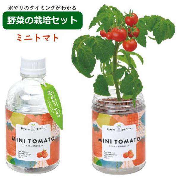 ●グリーンペット green pet トマト●用意するのは水だけ！ペットボトルで育てる水耕栽培の栽培キットです。●ペットボトル型の給水システムで、土を使わずに育てる水耕栽培をおうちで手軽に楽しめる人気商品。●透明なポットは水やりのタイミング...