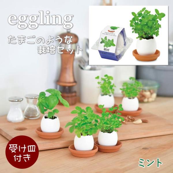 ●eggling エッグリングクリアパッケージ ミント●まるで本物のたまごのようなeggling。見た目も手触りも本物のたまごのようですが、たまごは陶器でできていて、中には種と土がセットされています。上部をスプーンなどでコンコンと割って水を...