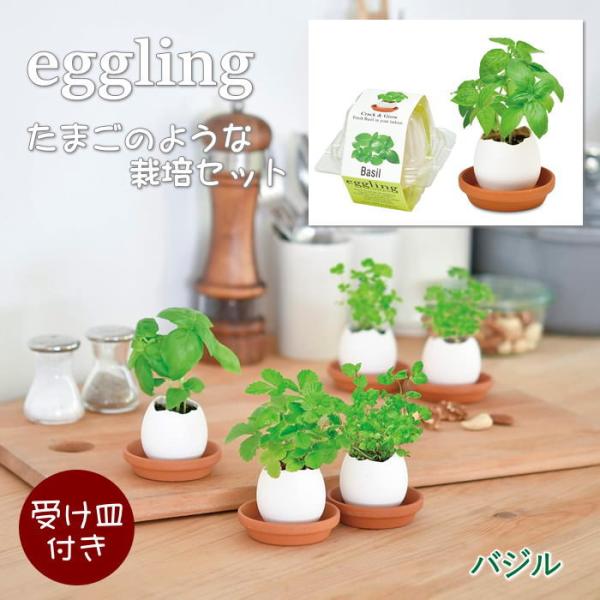 ●eggling エッグリングクリアパッケージ バジル●まるで本物のたまごのようなeggling。見た目も手触りも本物のたまごのようですが、たまごは陶器でできていて、中には種と土がセットされています。上部をスプーンなどでコンコンと割って水を...