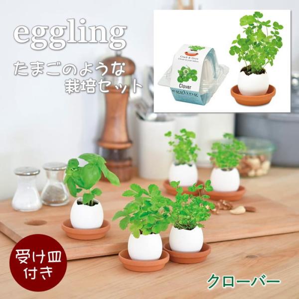 ●eggling エッグリングクリアパッケージ クローバー●まるで本物のたまごのようなeggling。見た目も手触りも本物のたまごのようですが、たまごは陶器でできていて、中には種と土がセットされています。上部をスプーンなどでコンコンと割って...