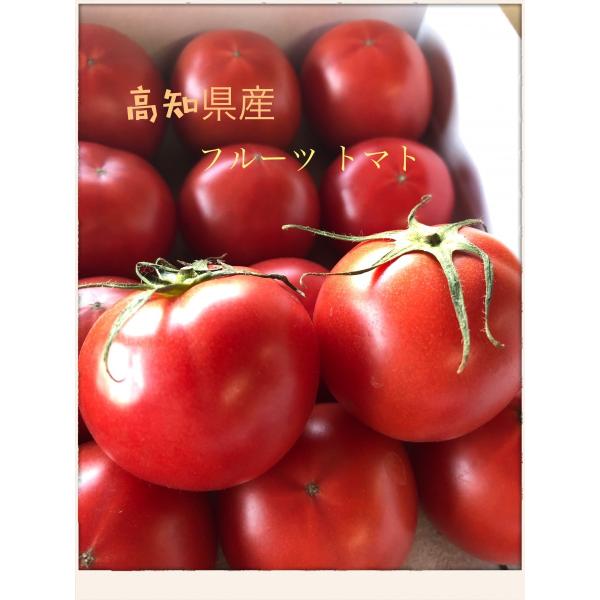 トマト 高知県産 甘味凝縮フルーツトマト 約4kg Buyee Buyee Japanese Proxy Service Buy From Japan Bot Online