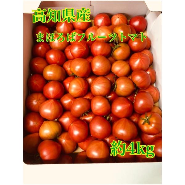 フルーツトマト 糖度 12 みんな探してる人気モノ フルーツトマト 糖度 12 食品