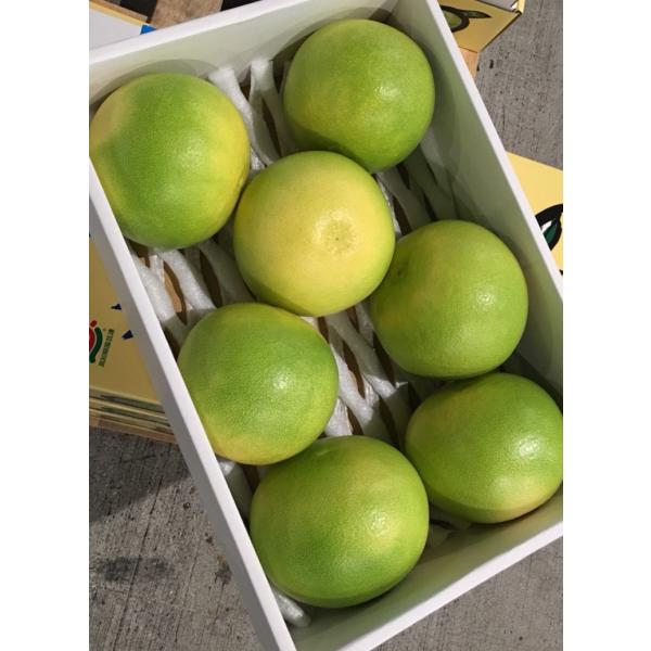 文旦高知県産水晶文旦約5kg 7 8玉入 等級 秀品厳選秋の女王 Buyee Buyee 提供一站式最全面最專業現地yahoo Japan拍賣代bid代拍代購服務