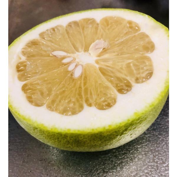 文旦高知県産水晶文旦約5kg 7 8玉入 等級 秀品厳選秋の女王 Buyee Buyee 提供一站式最全面最專業現地yahoo Japan拍賣代bid代拍代購服務