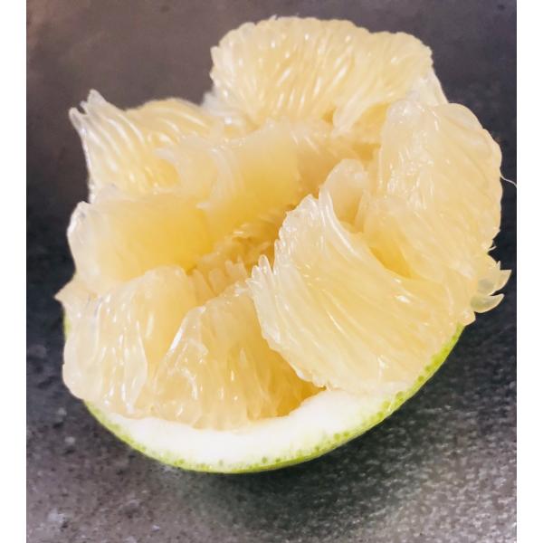 文旦高知県産水晶文旦約5kg 7 8玉入 等級 秀品厳選秋の女王 Buyee Buyee 提供一站式最全面最專業現地yahoo Japan拍賣代bid代拍代購服務