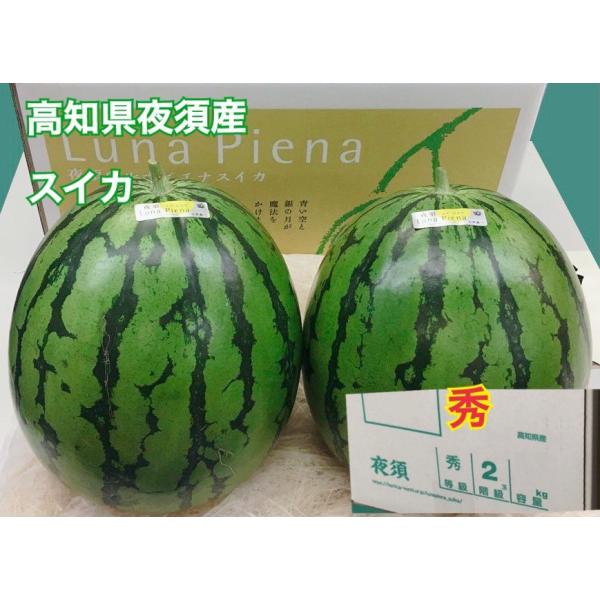 スイカ 高知県産 驚きの空中栽培 希少 ルナ ピエナスイカ 2玉 約12 14kg お中元 ご家庭 S 01 えいろう 通販 Yahoo ショッピング