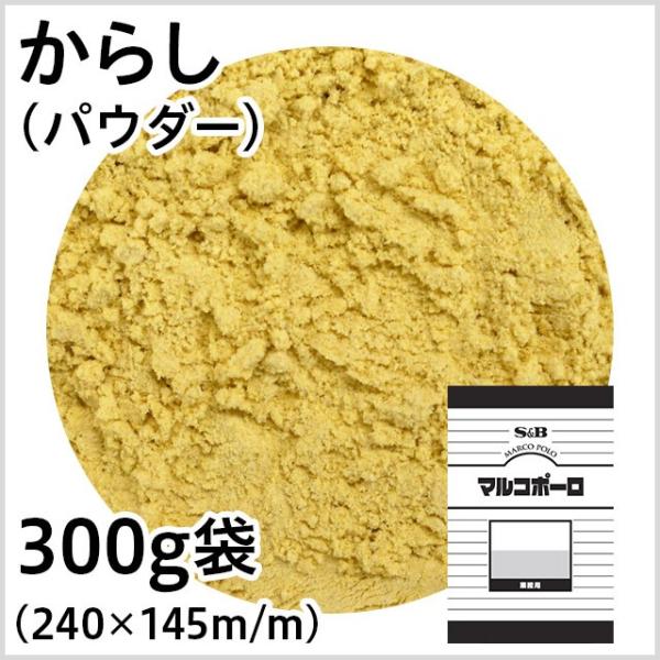 }R|[ 炵ipE_[j 300gܓ GXr[Hi