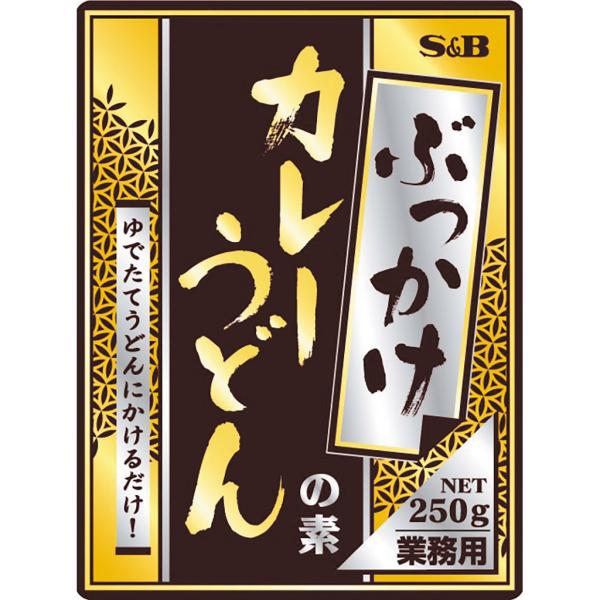 [Release date: October 1, 2019]鰹だしとカレー粉・香辛料の風味が調和したカレーうどん用レトルトです。牛肉・玉ねぎ入りですので、ゆでたてうどんにかけるだけでおいしいカレーうどんができあがります。冷やしうどんとして...